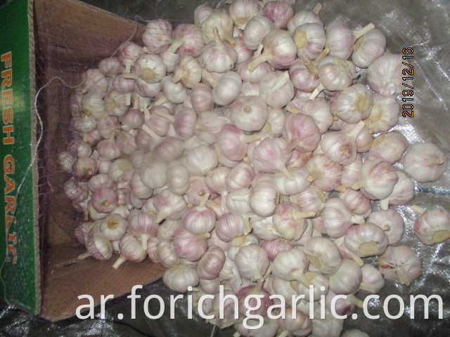 How Long Keep Fresh Garlic